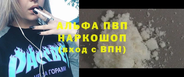 сатива Абинск