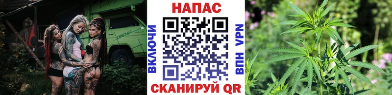 Бошки марихуана тримм  нарко площадка состав  Ермолино  дарнет шоп 